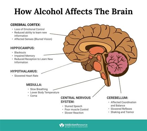 does drinking cause cognitive decline